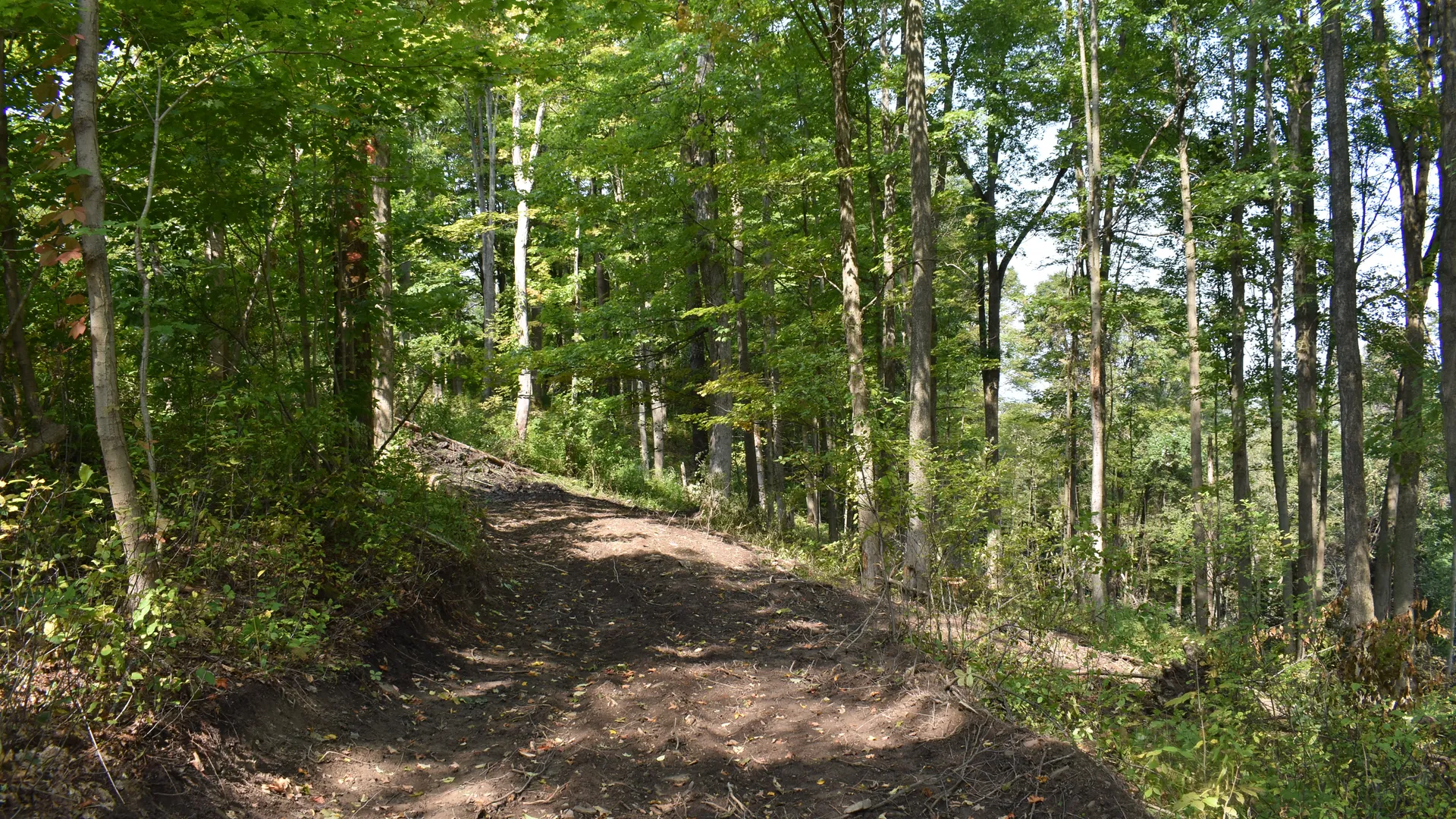 Property at Route 380, Jamestown, NY 14701 32