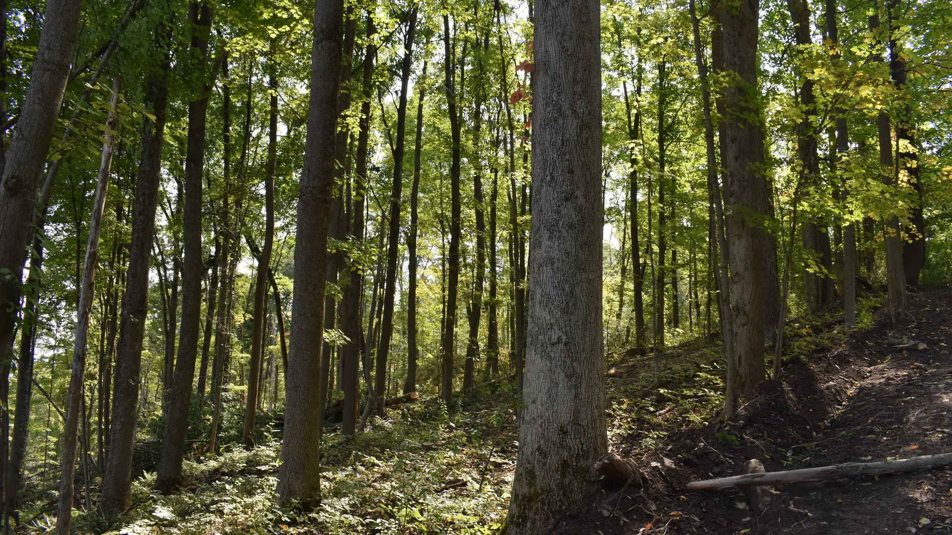 Property at Route 380, Jamestown, NY 14701 6