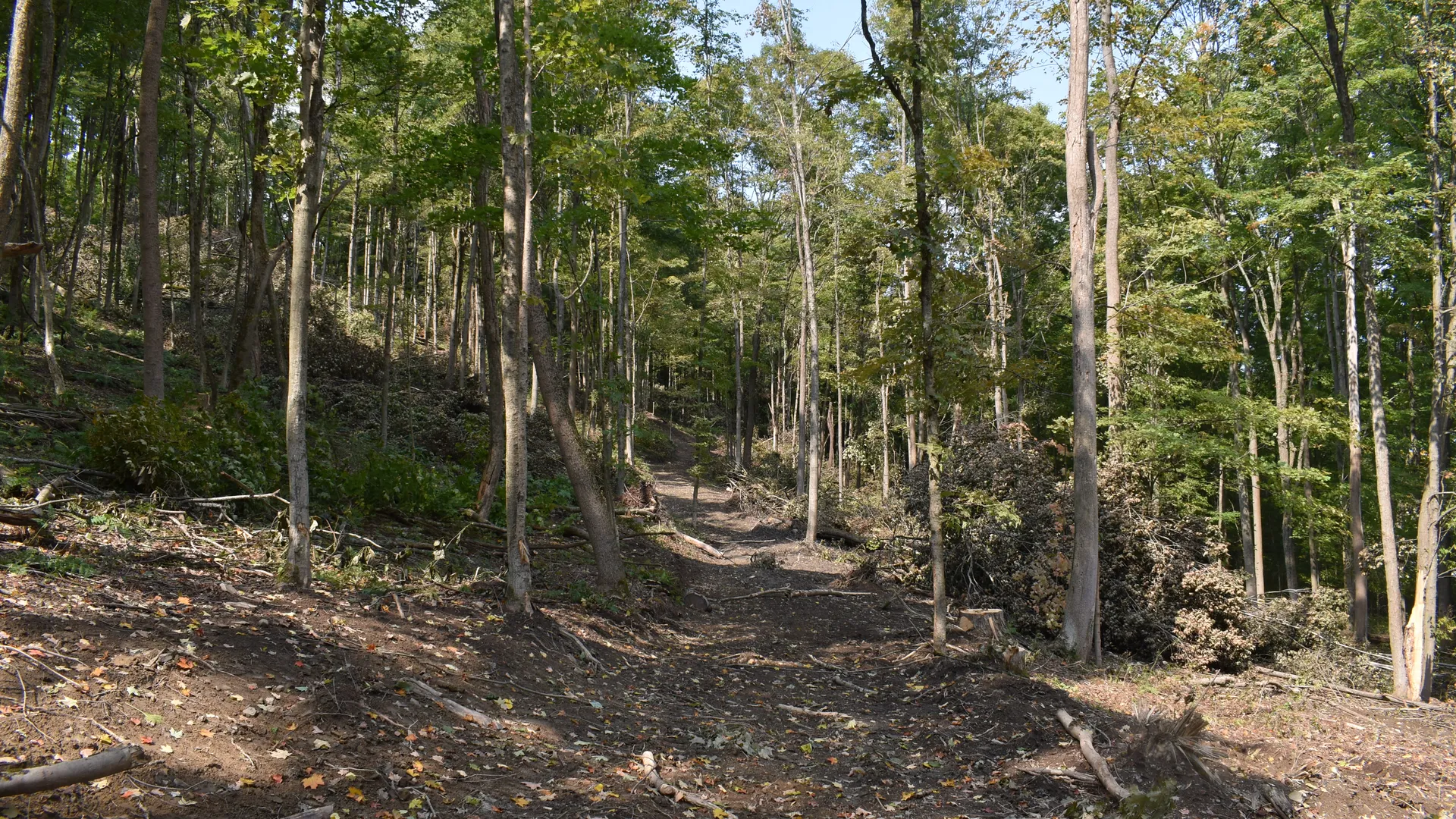 Property at Route 380, Jamestown, NY 14701 7