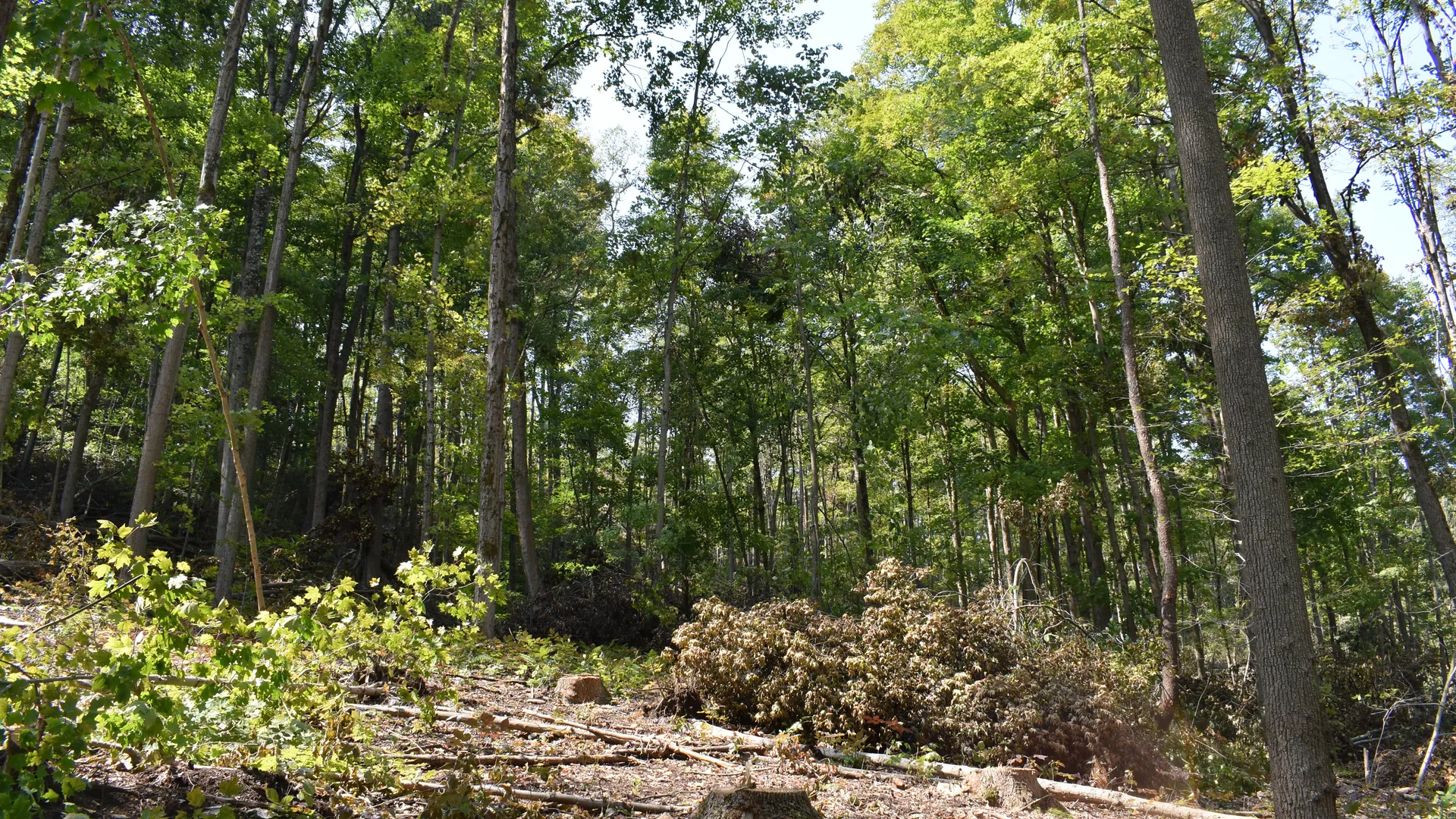 Property at Route 380, Jamestown, NY 14701 8