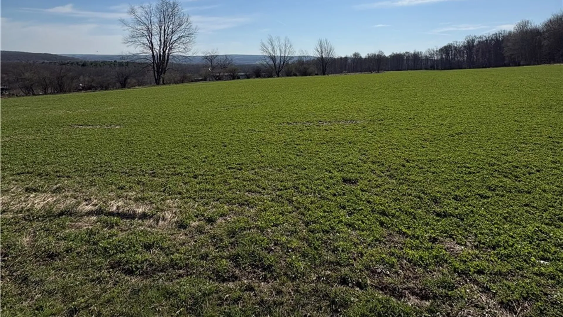 Property at 5438 Harvey Road, Ellery, NY 14782 11
