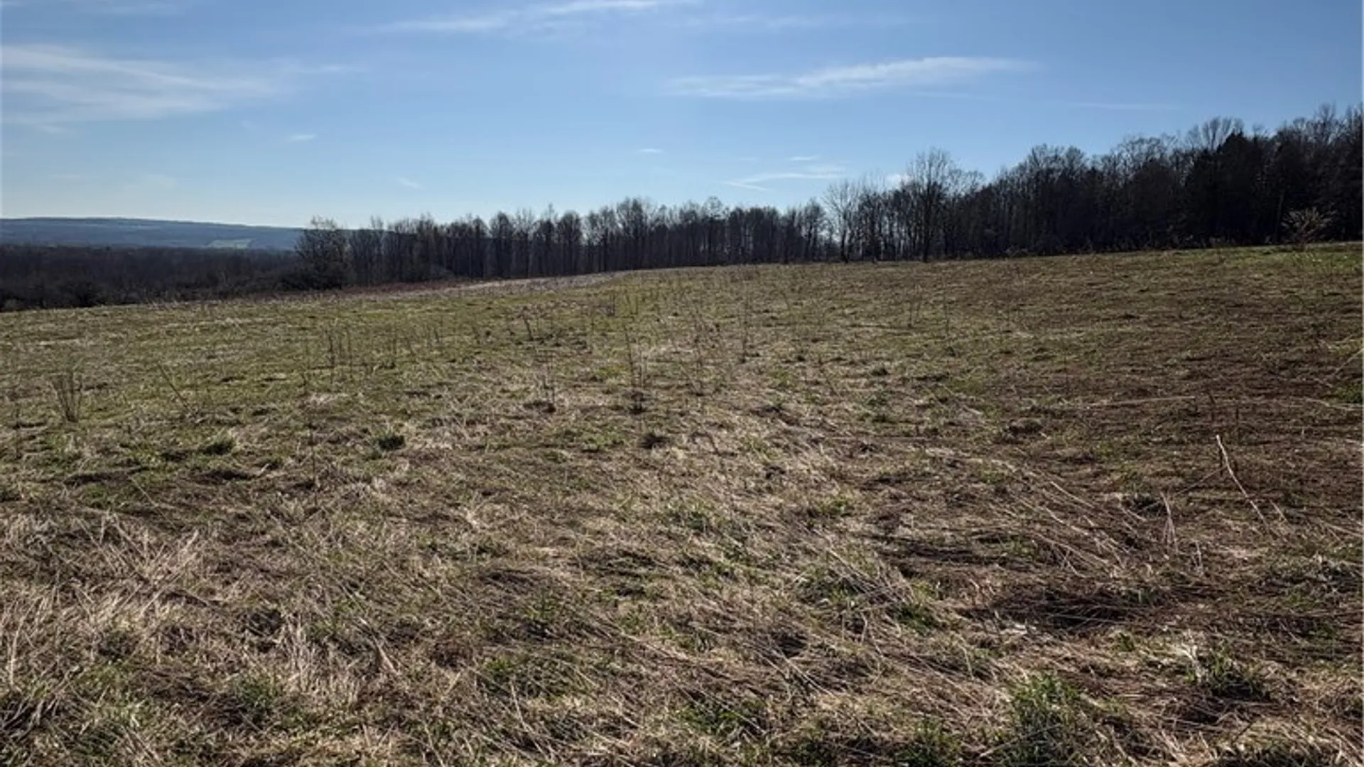 Property at 5438 Harvey Road, Ellery, NY 14782 17