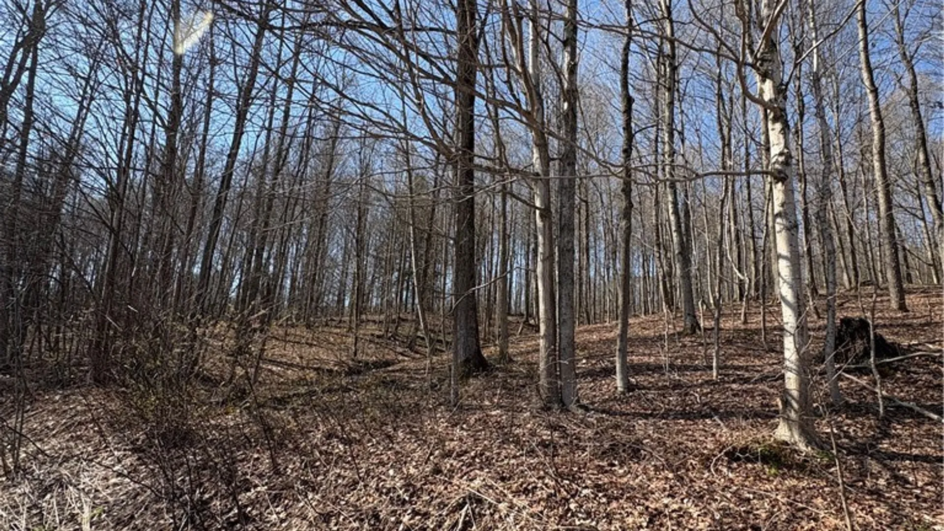 Property at 5438 Harvey Road, Ellery, NY 14782 18