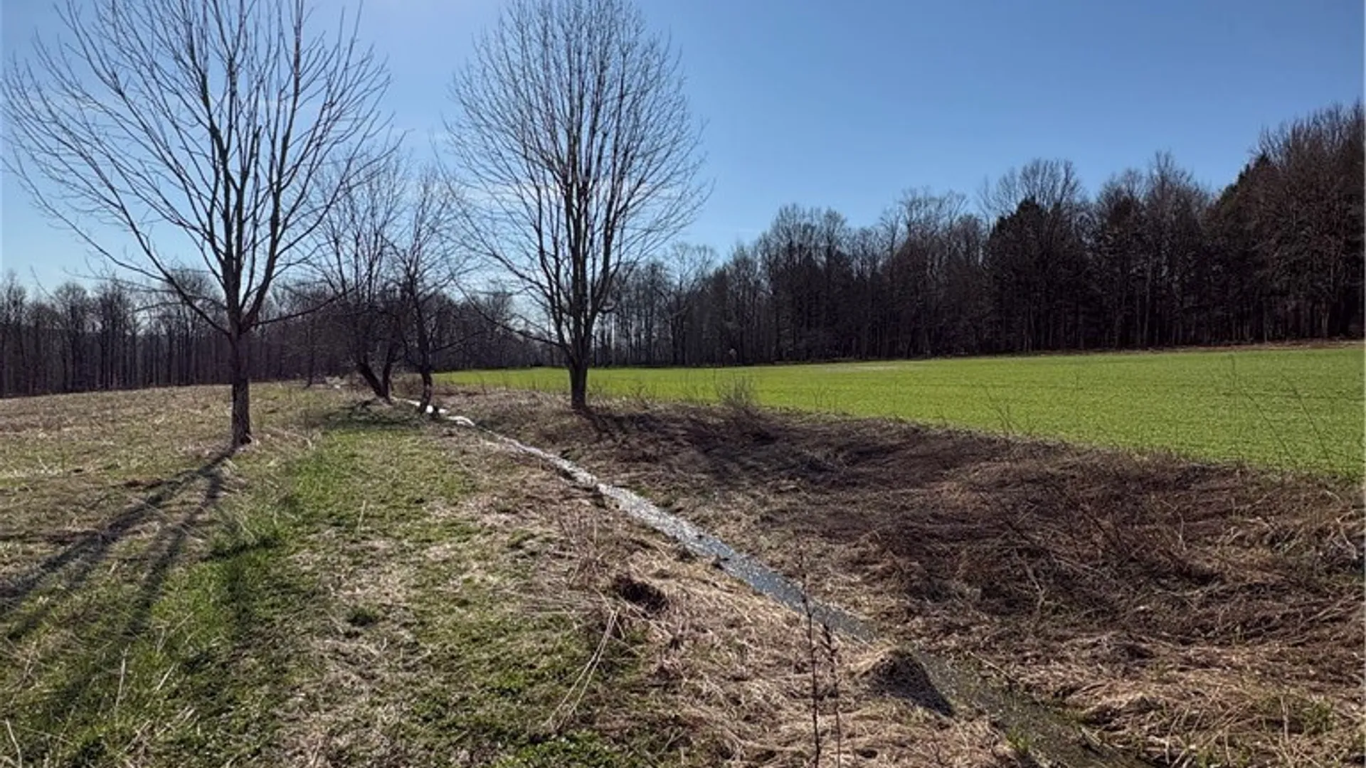 Property at 5438 Harvey Road, Ellery, NY 14782 20