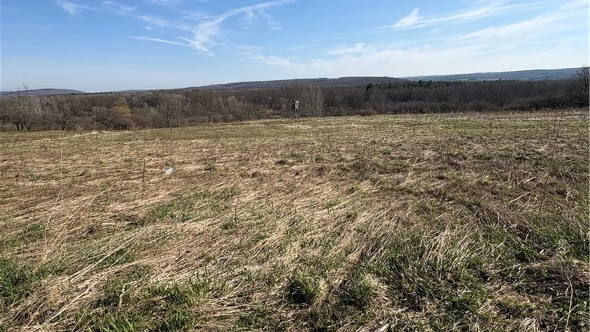 Property at 5438 Harvey Road, Ellery, NY 14782 22