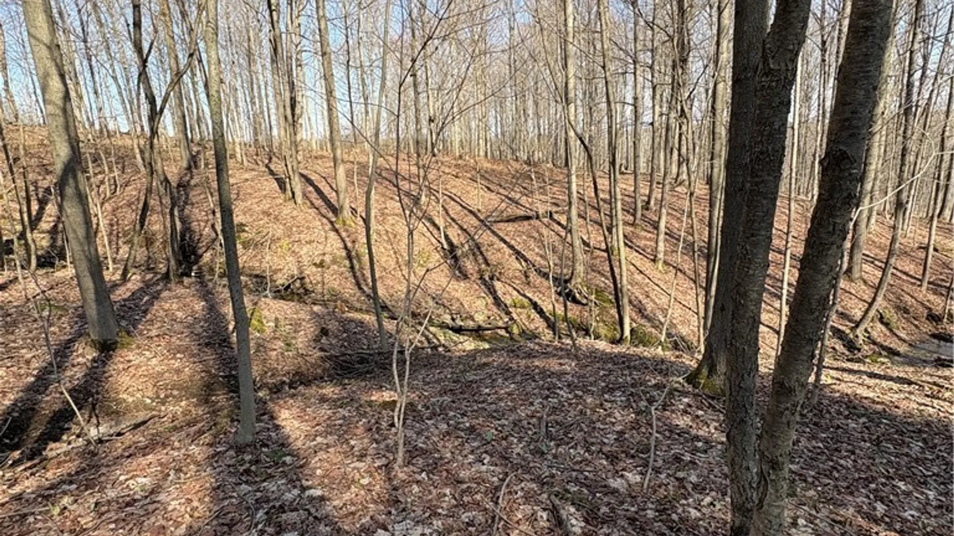 Property at 5438 Harvey Road, Ellery, NY 14782 28