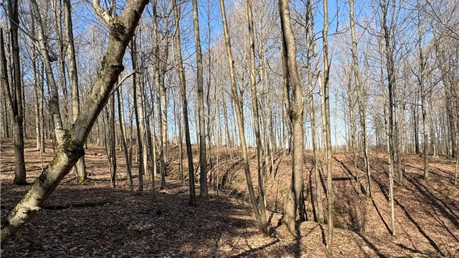 Property at 5438 Harvey Road, Ellery, NY 14782 32