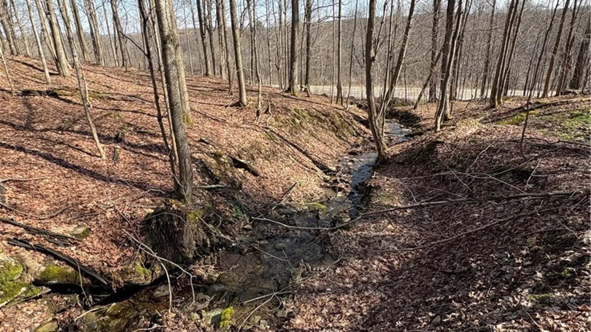 Property at 5438 Harvey Road, Ellery, NY 14782 34
