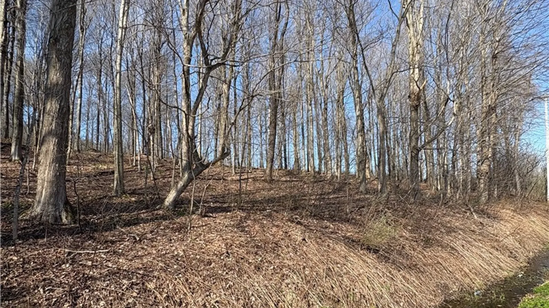 Property at 5438 Harvey Road, Ellery, NY 14782 40