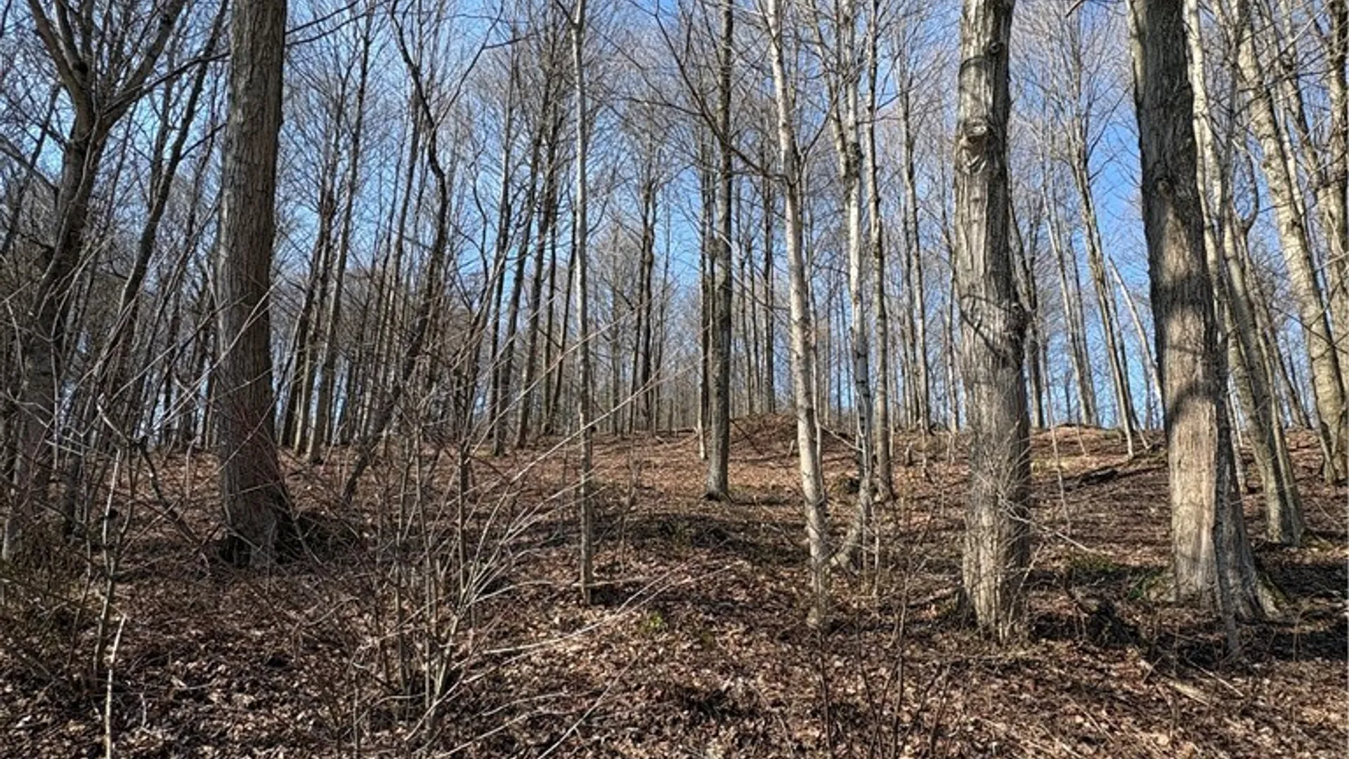 Property at 5438 Harvey Road, Ellery, NY 14782 43