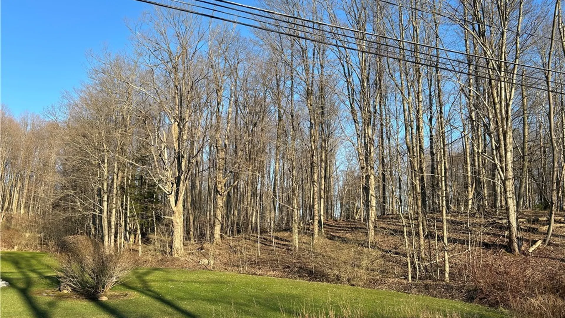 Property at 8190 Route 60, Pomfret, NY 14718 10