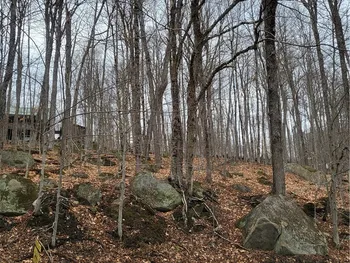 Property at Hollywood Road, Webb, NY 13420