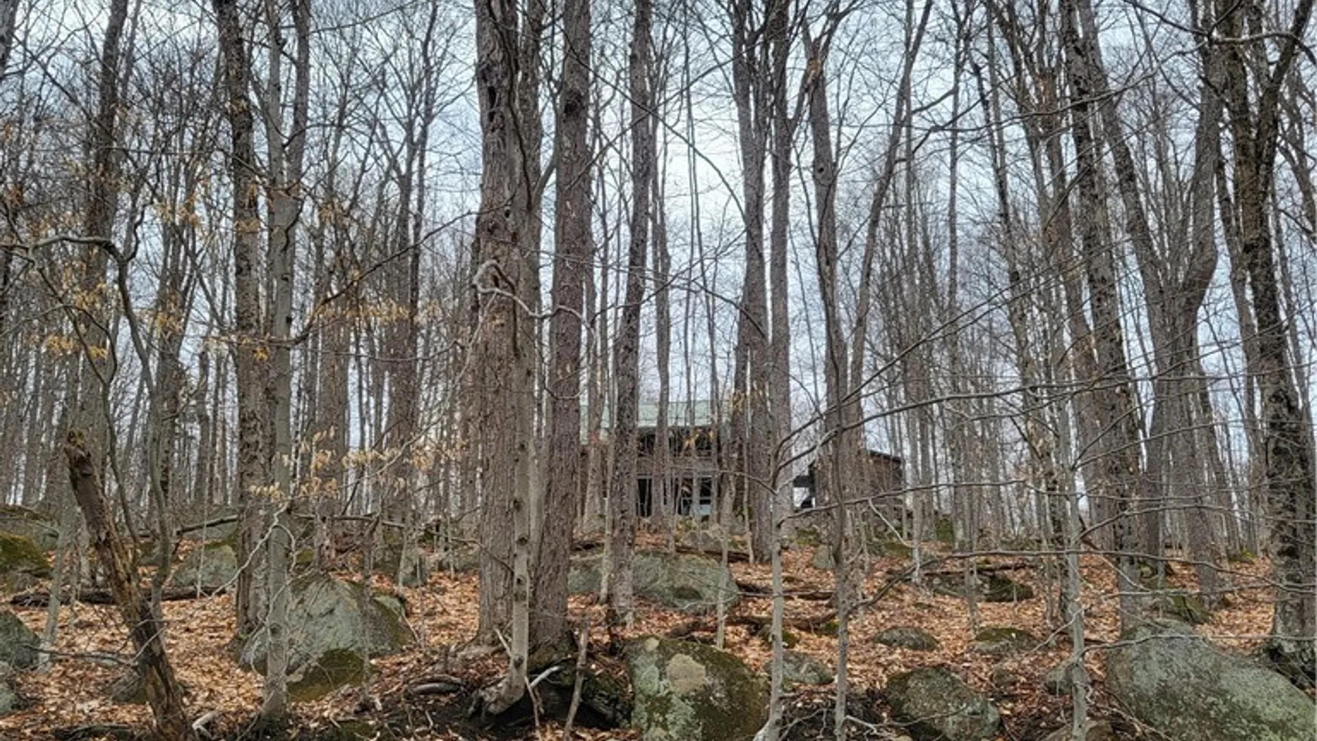 Property at Hollywood Road, Webb, NY 13420 3