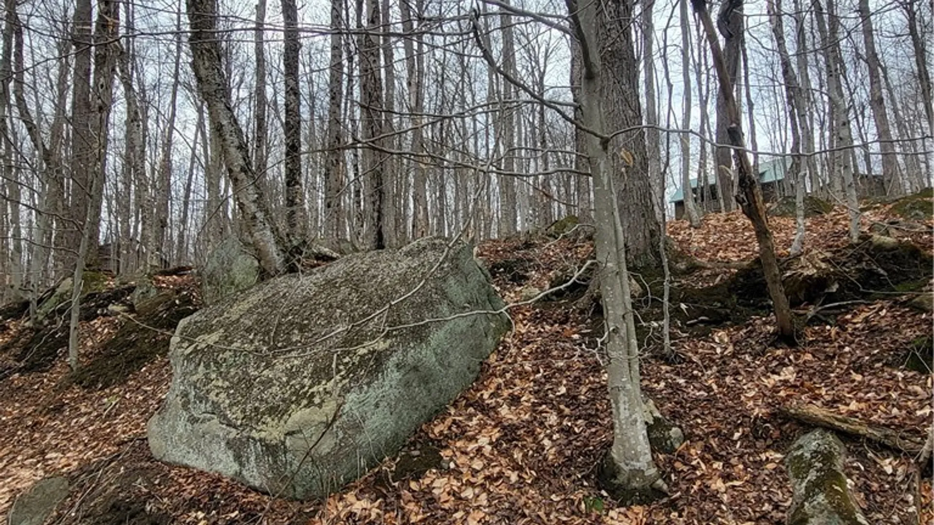 Property at Hollywood Road, Webb, NY 13420 7