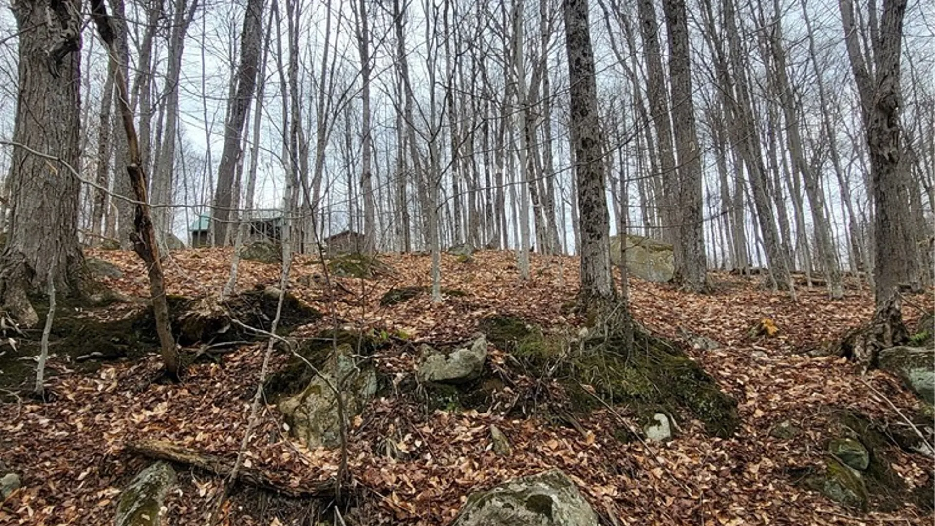 Property at Hollywood Road, Webb, NY 13420 8