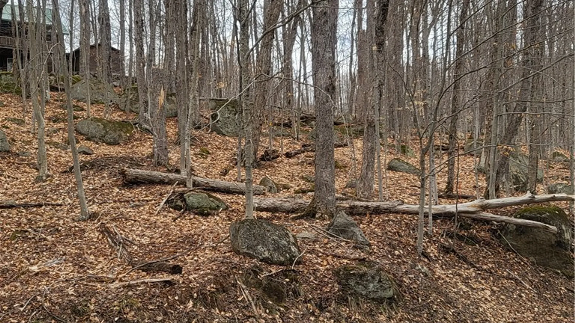 Property at Hollywood Road, Webb, NY 13420 9