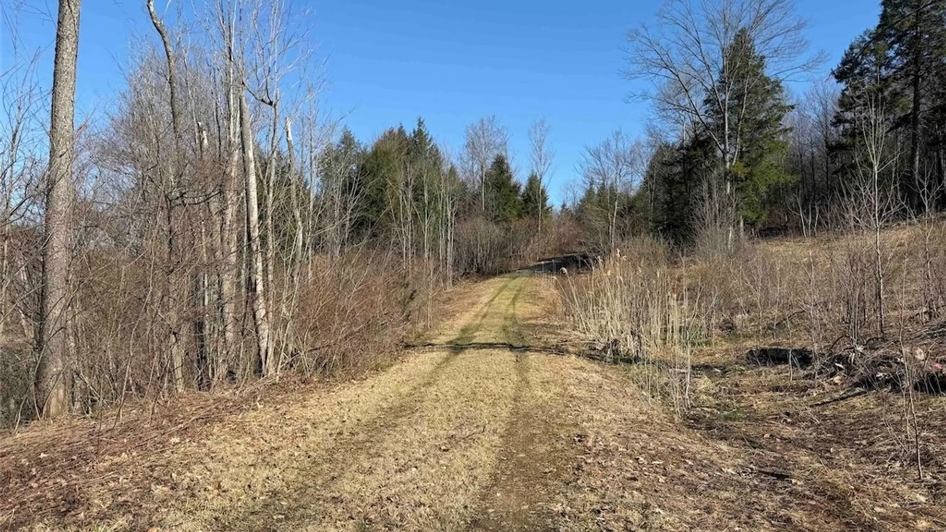 Property at Brainard Road, Ellington, NY 14747 27