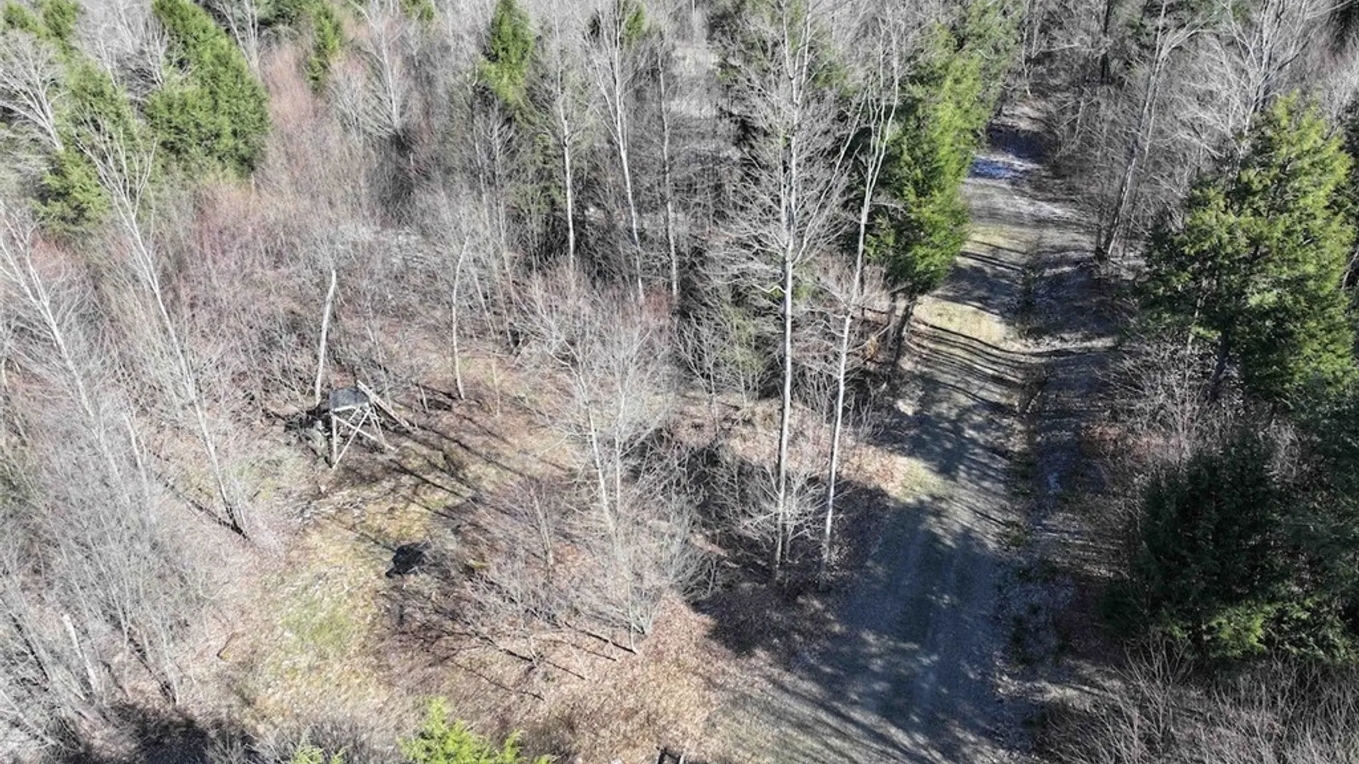 Property at Brainard Road, Ellington, NY 14747 29