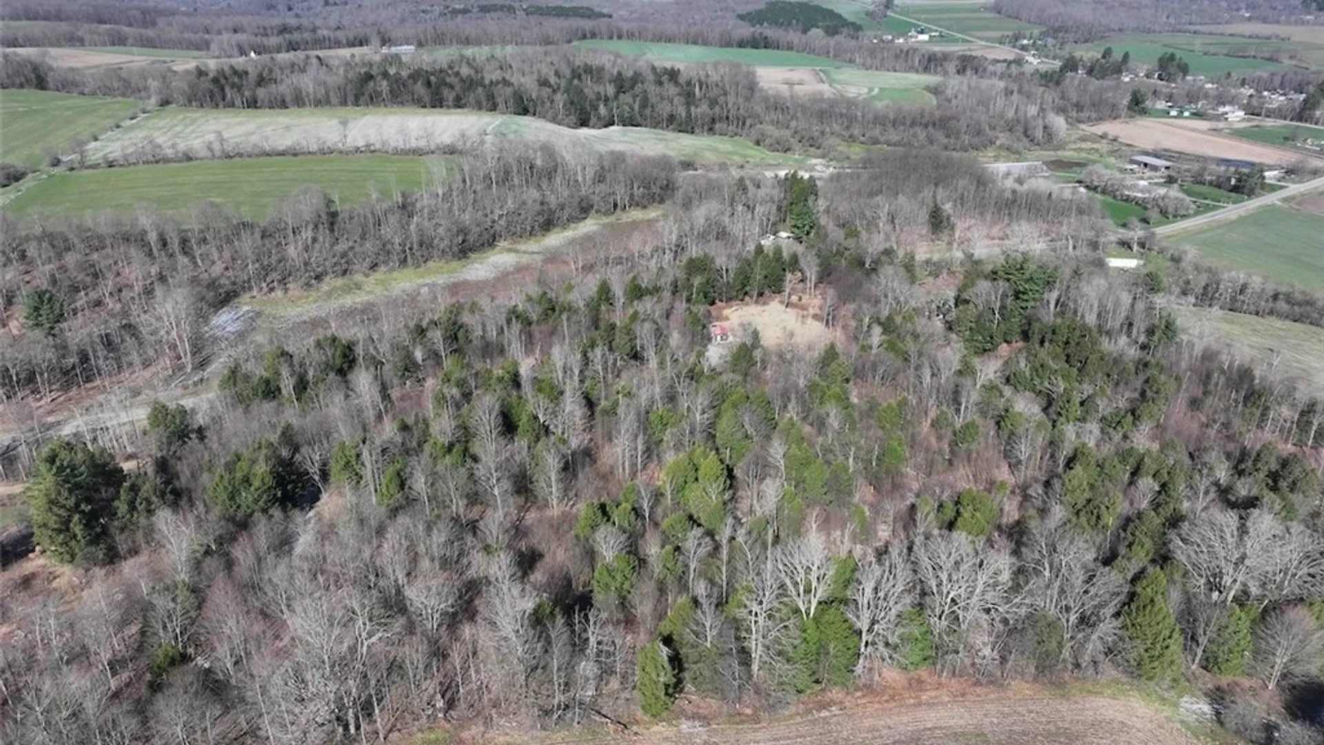Property at Brainard Road, Ellington, NY 14747 35