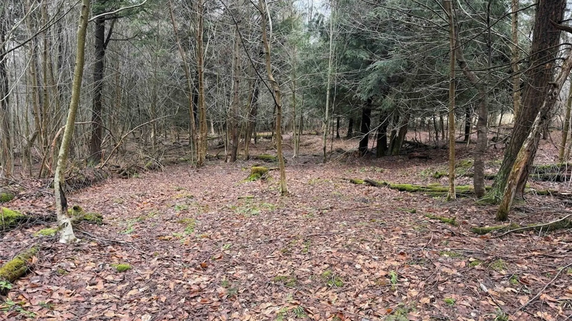 Property at Brainard Road, Ellington, NY 14747 36