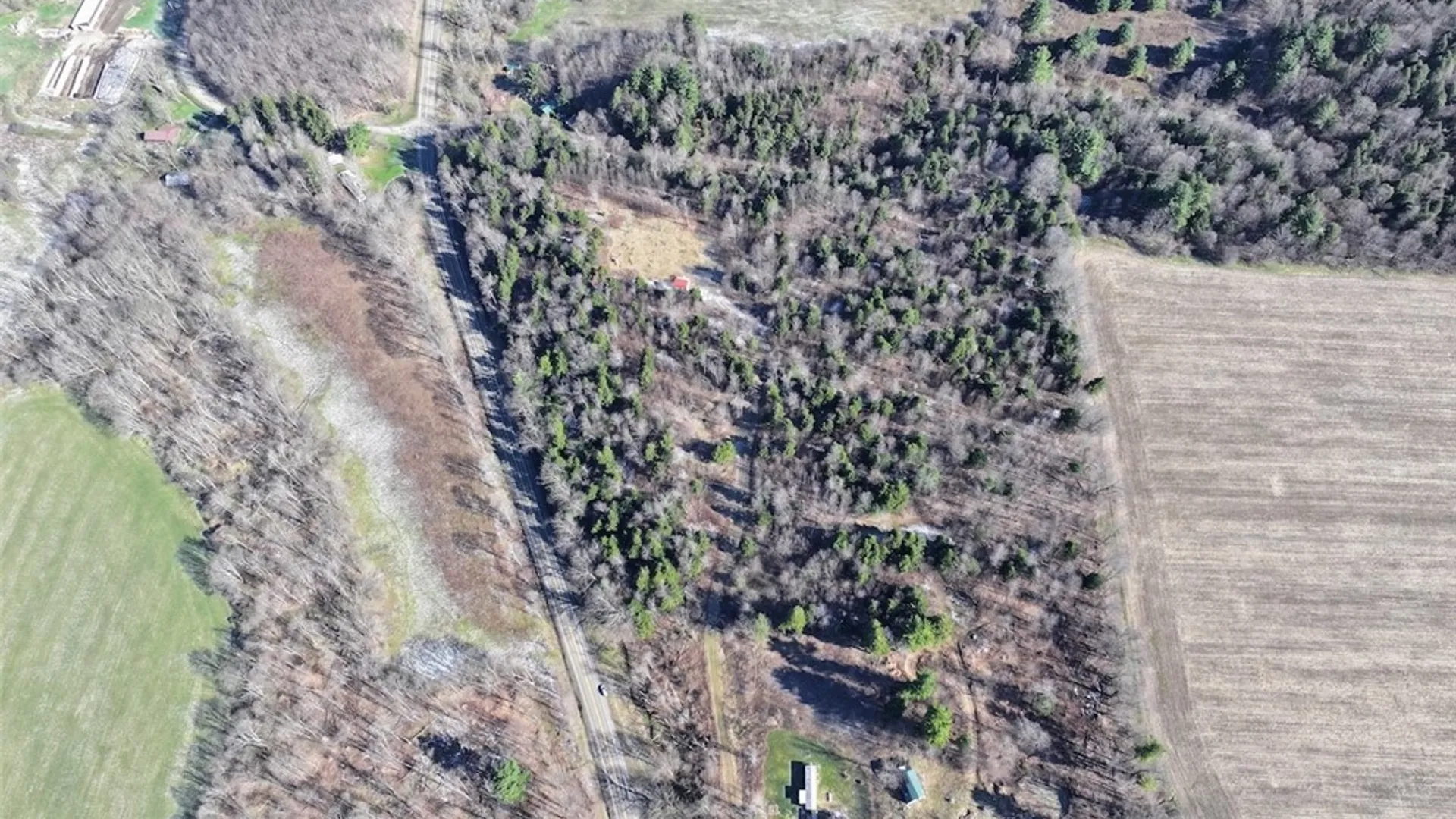 Property at Brainard Road, Ellington, NY 14747 4