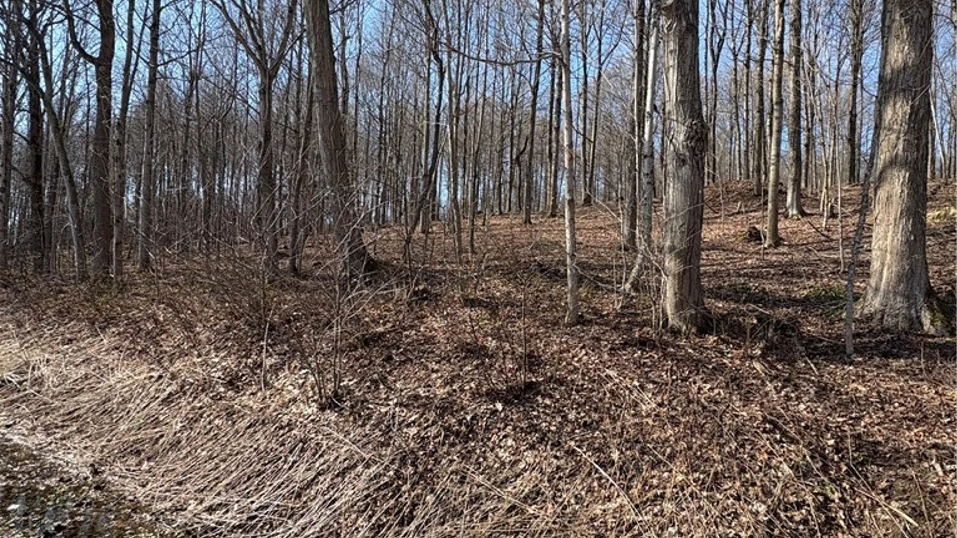 Property at Route 380, Ellery, NY 14782 10