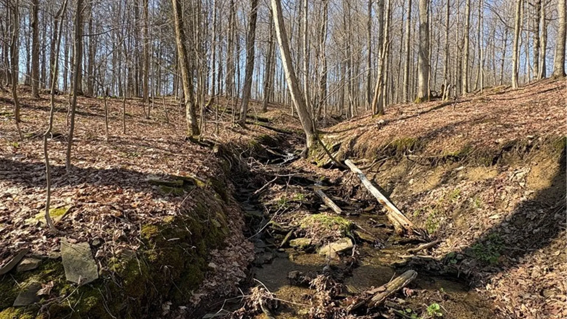 Property at Route 380, Ellery, NY 14782 16