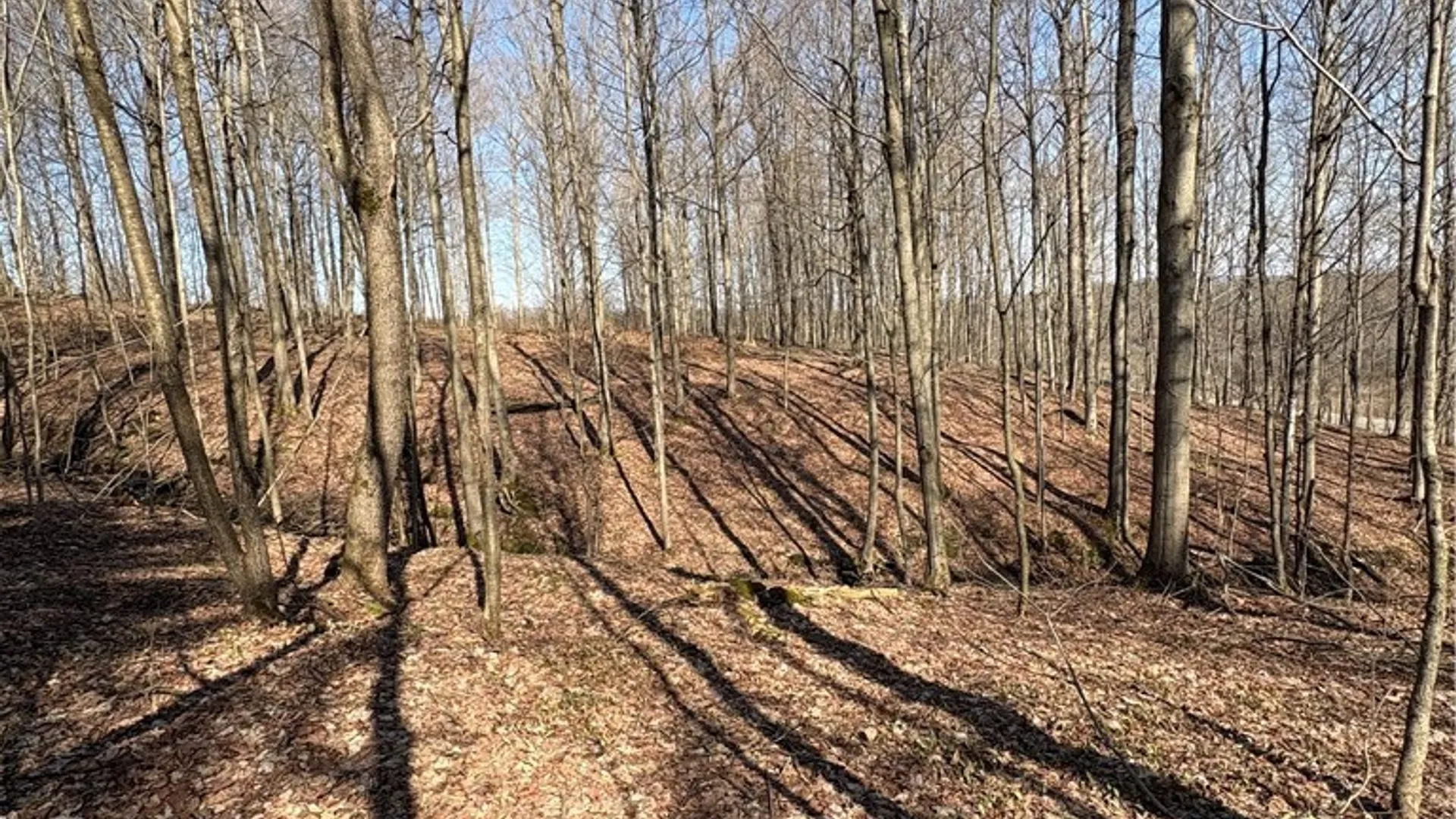 Property at Route 380, Ellery, NY 14782 18