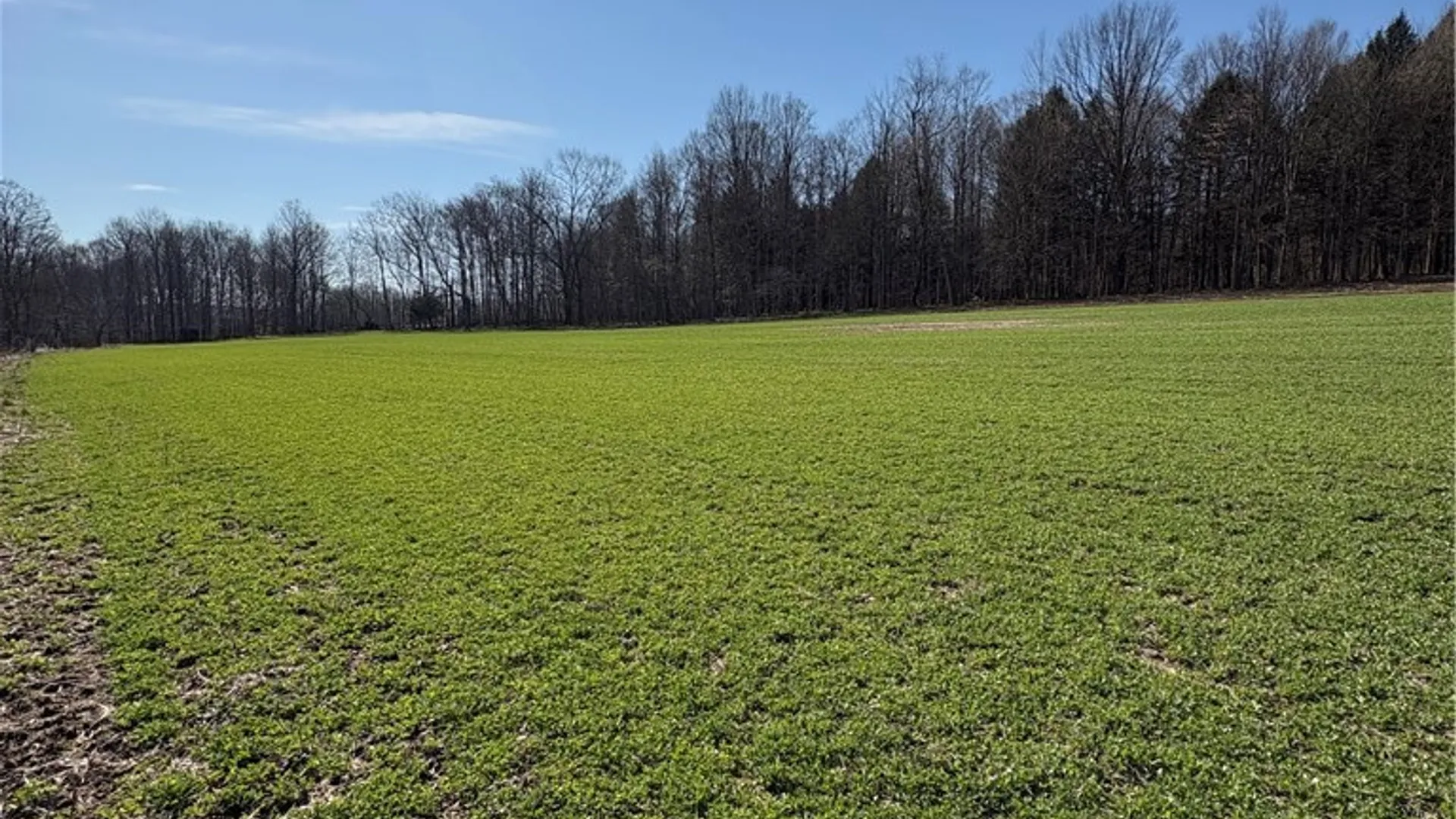 Property at Route 380, Ellery, NY 14782 2