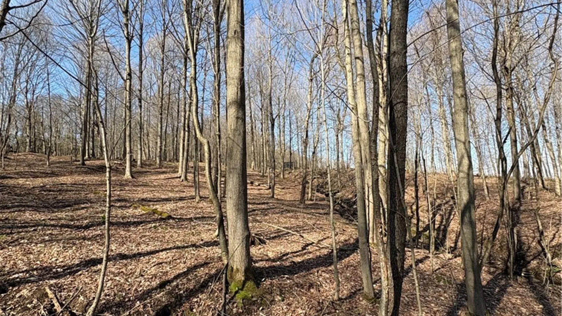 Property at Route 380, Ellery, NY 14782 22