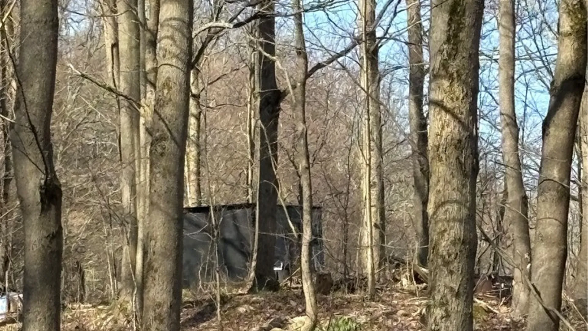 Property at Route 380, Ellery, NY 14782 23