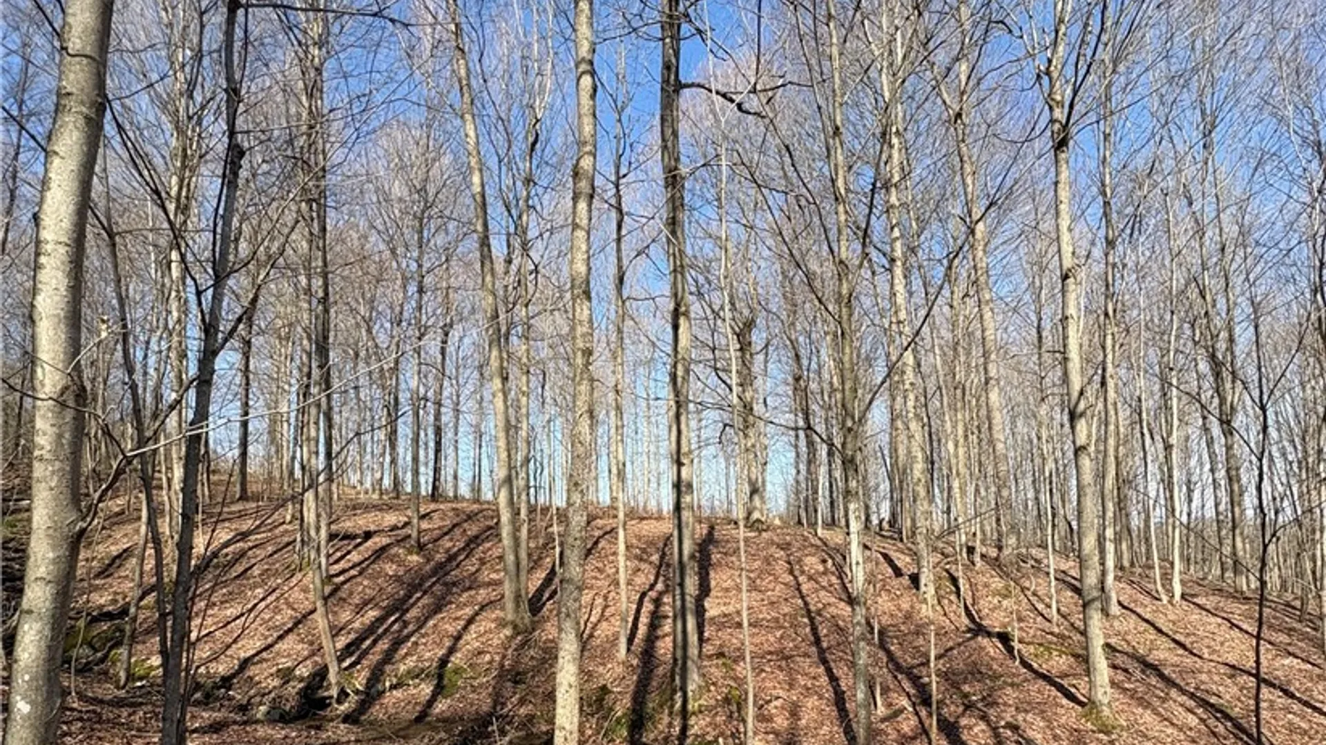 Property at Route 380, Ellery, NY 14782 24