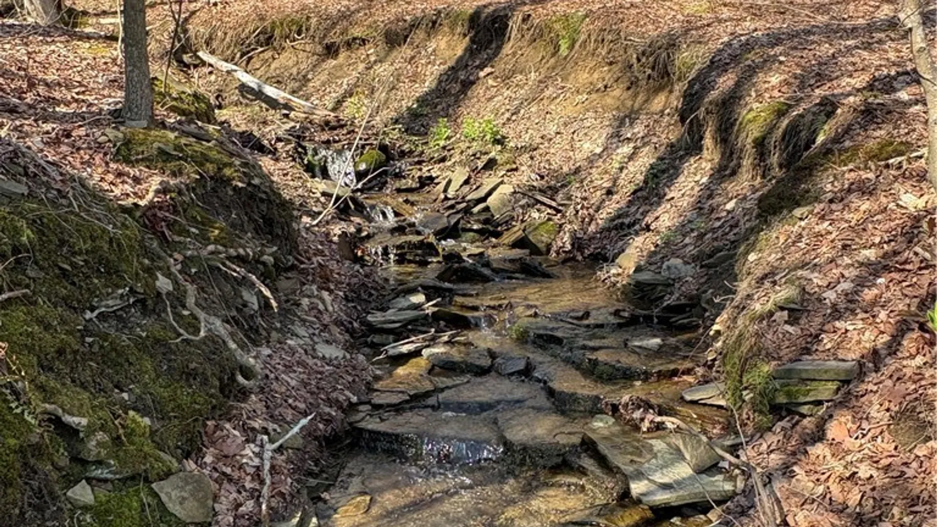 Property at Route 380, Ellery, NY 14782 26