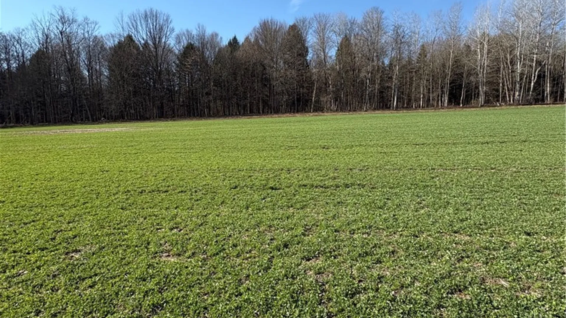Property at Route 380, Ellery, NY 14782 4