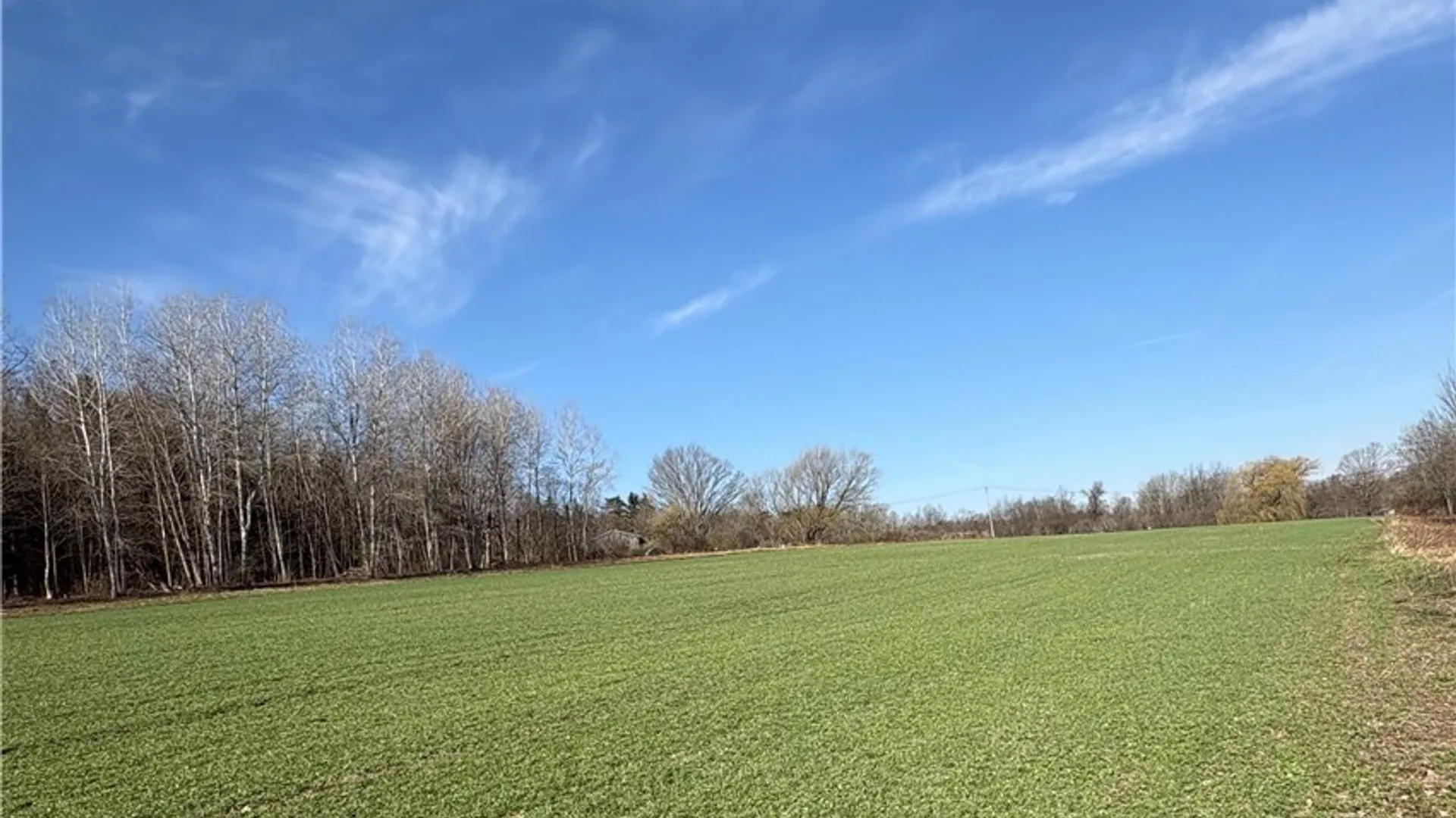 Property at Route 380, Ellery, NY 14782 6