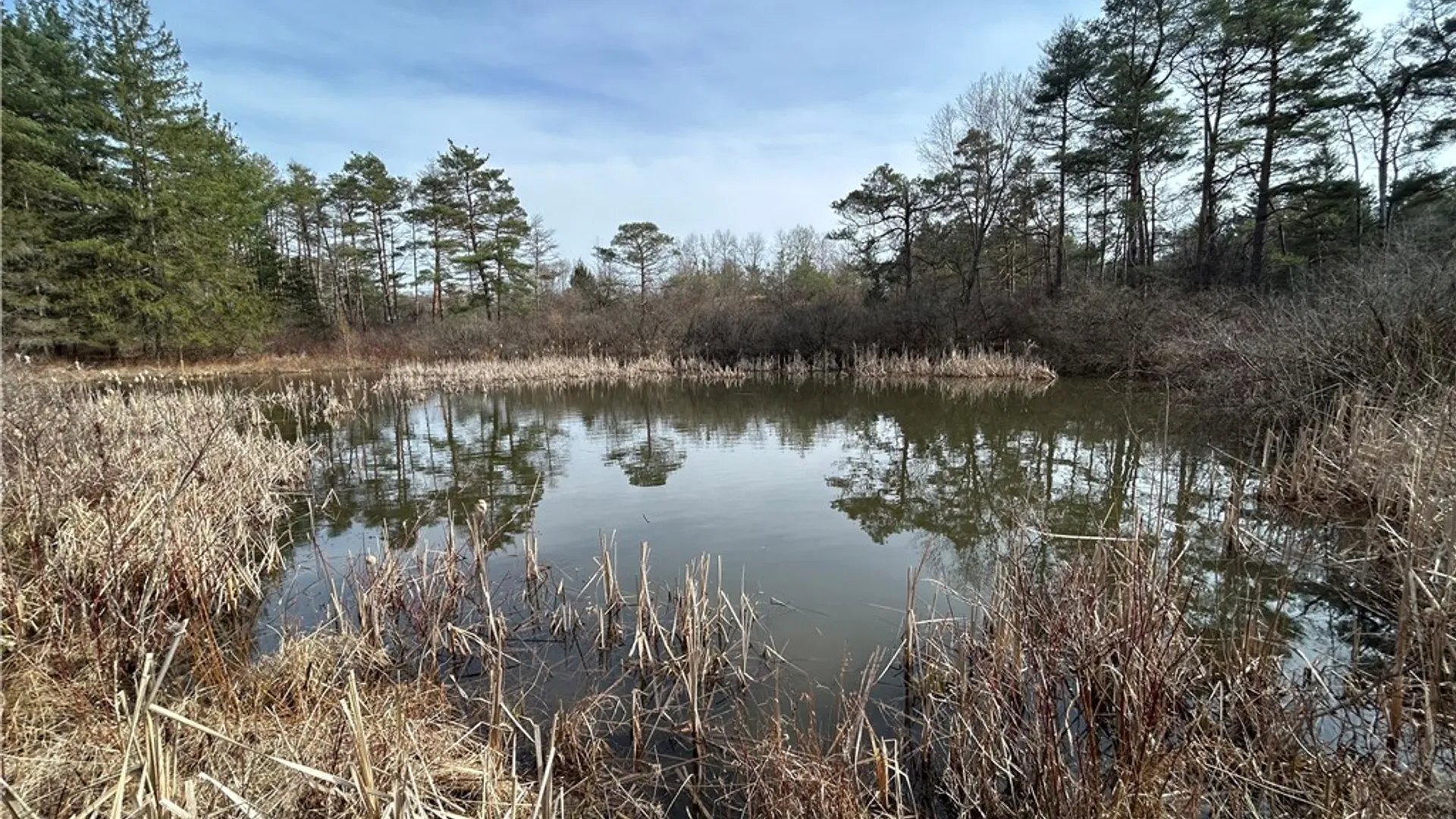 Property at 1753 Danby Road, Danby, NY 14850 43