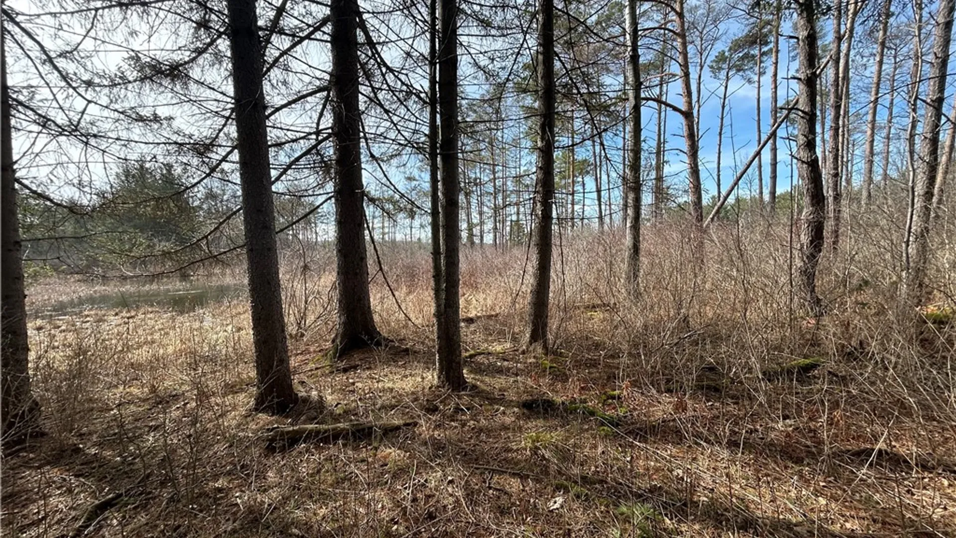 Property at 1753 Danby Road, Danby, NY 14850 44