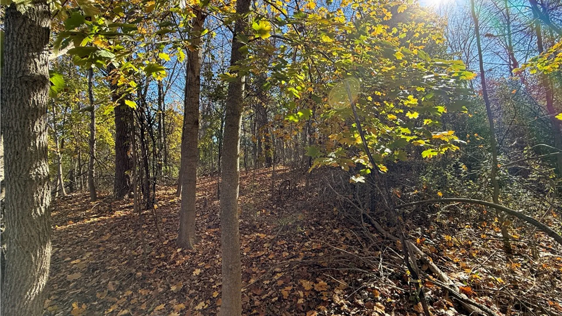 Property at Willowdale Drive, Macedon, NY 14502 10