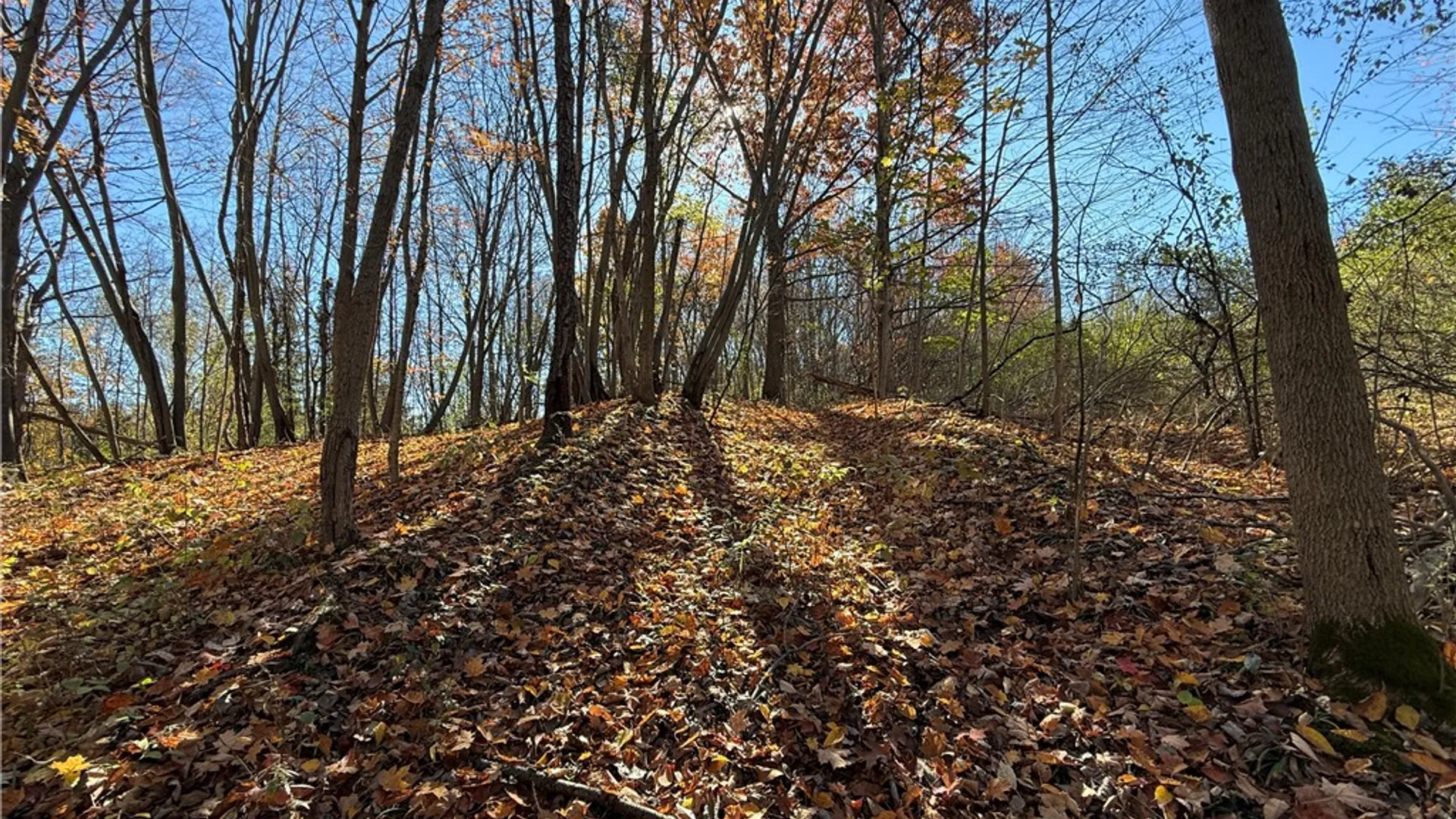 Property at Willowdale Drive, Macedon, NY 14502 11