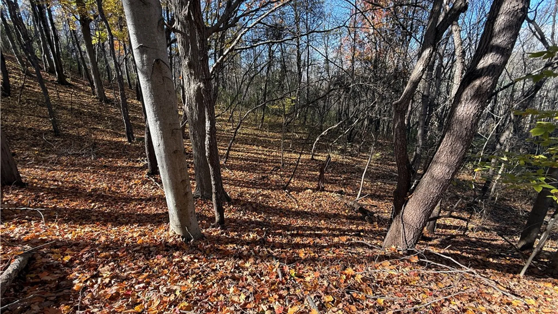 Property at Willowdale Drive, Macedon, NY 14502 12