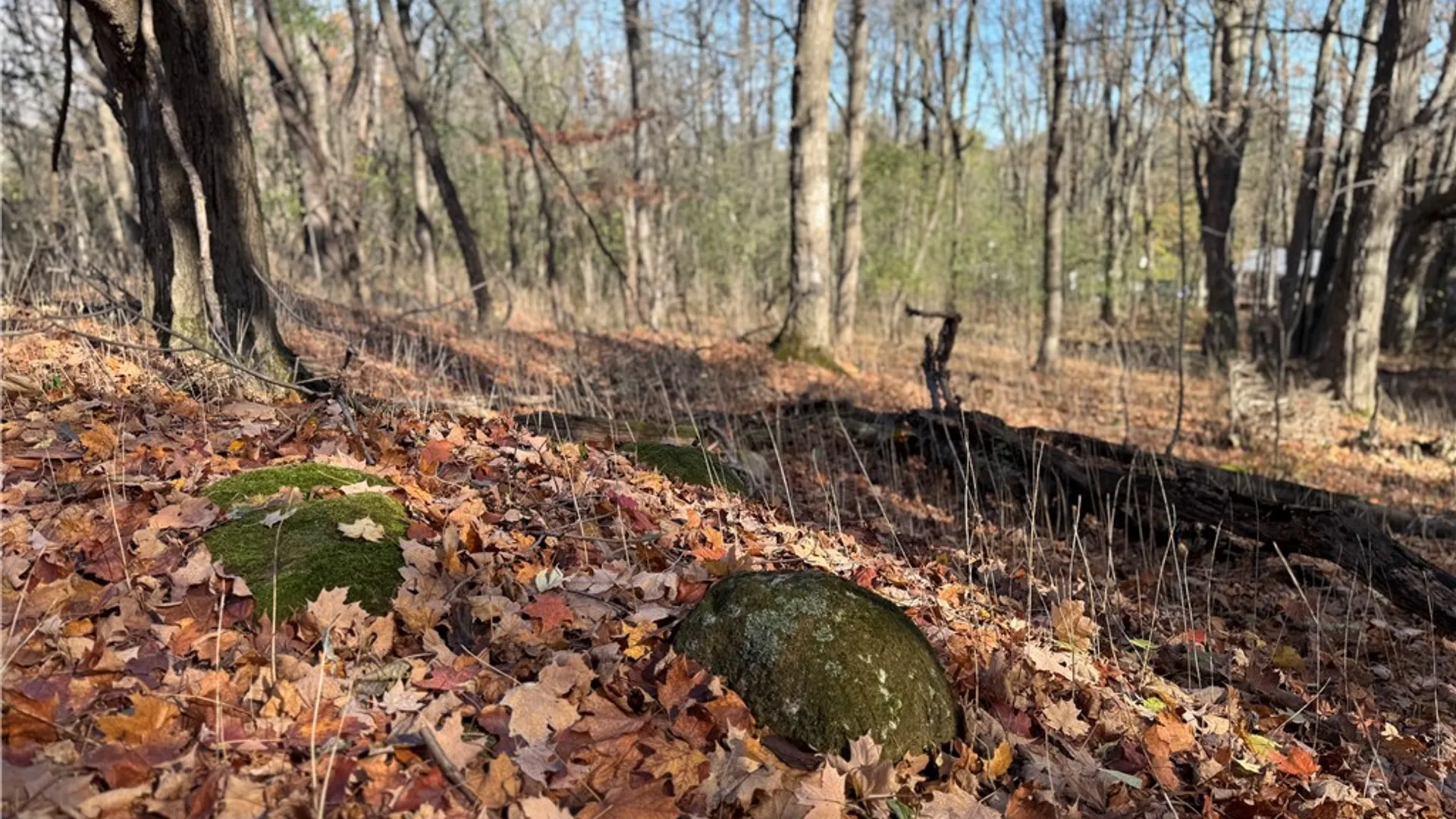 Property at Willowdale Drive, Macedon, NY 14502 13