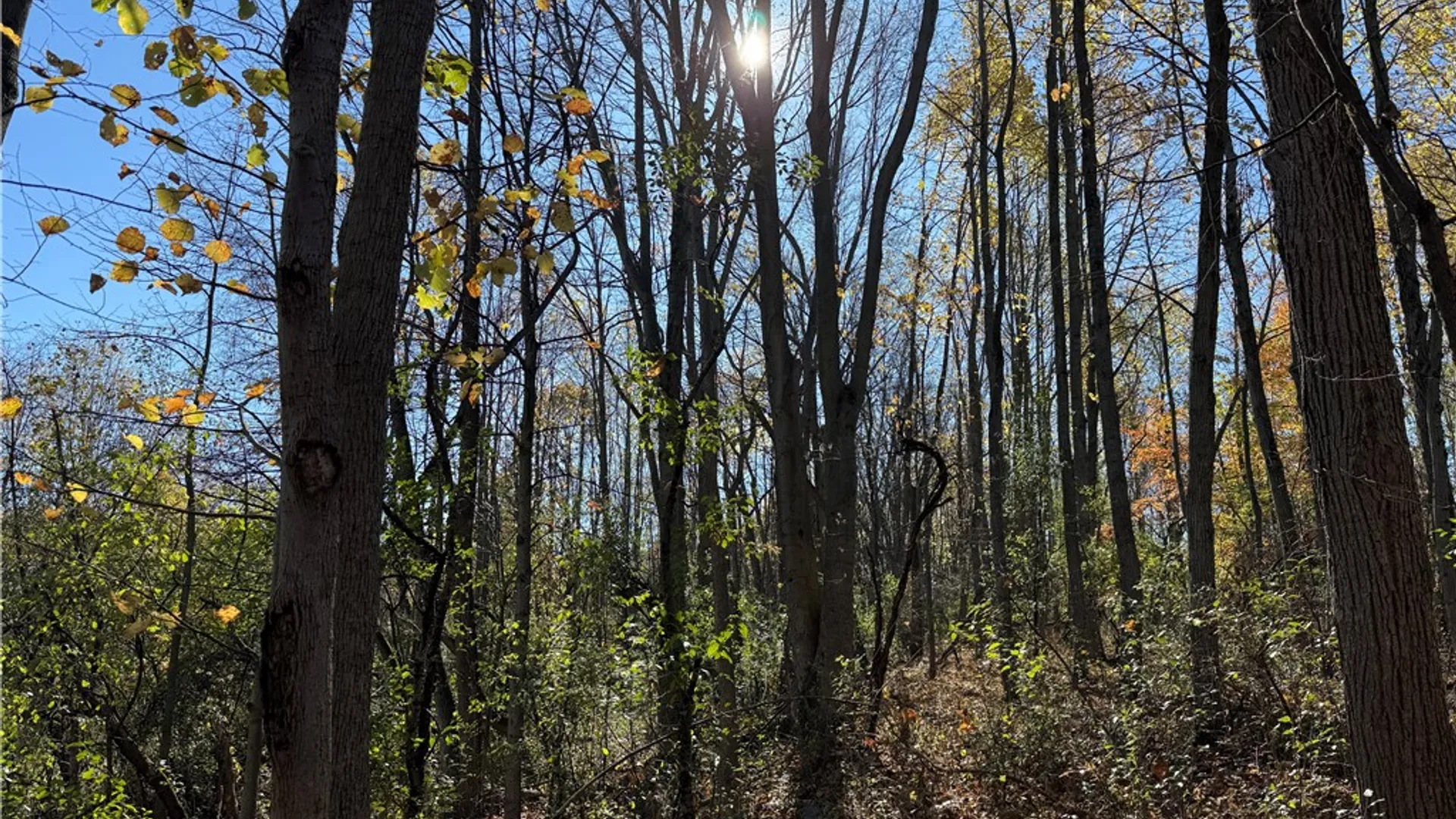 Property at Willowdale Drive, Macedon, NY 14502 14