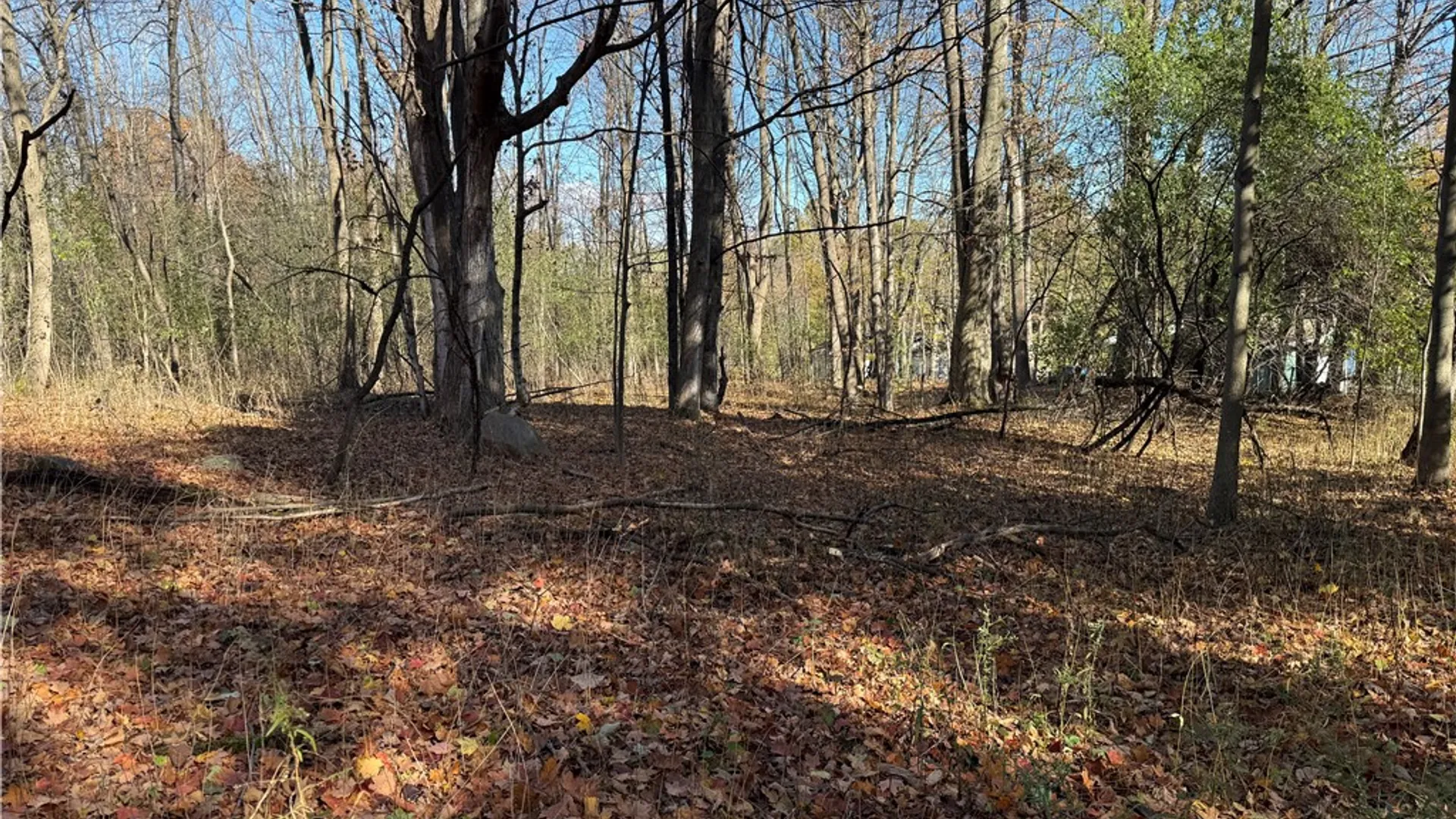 Property at Willowdale Drive, Macedon, NY 14502 15