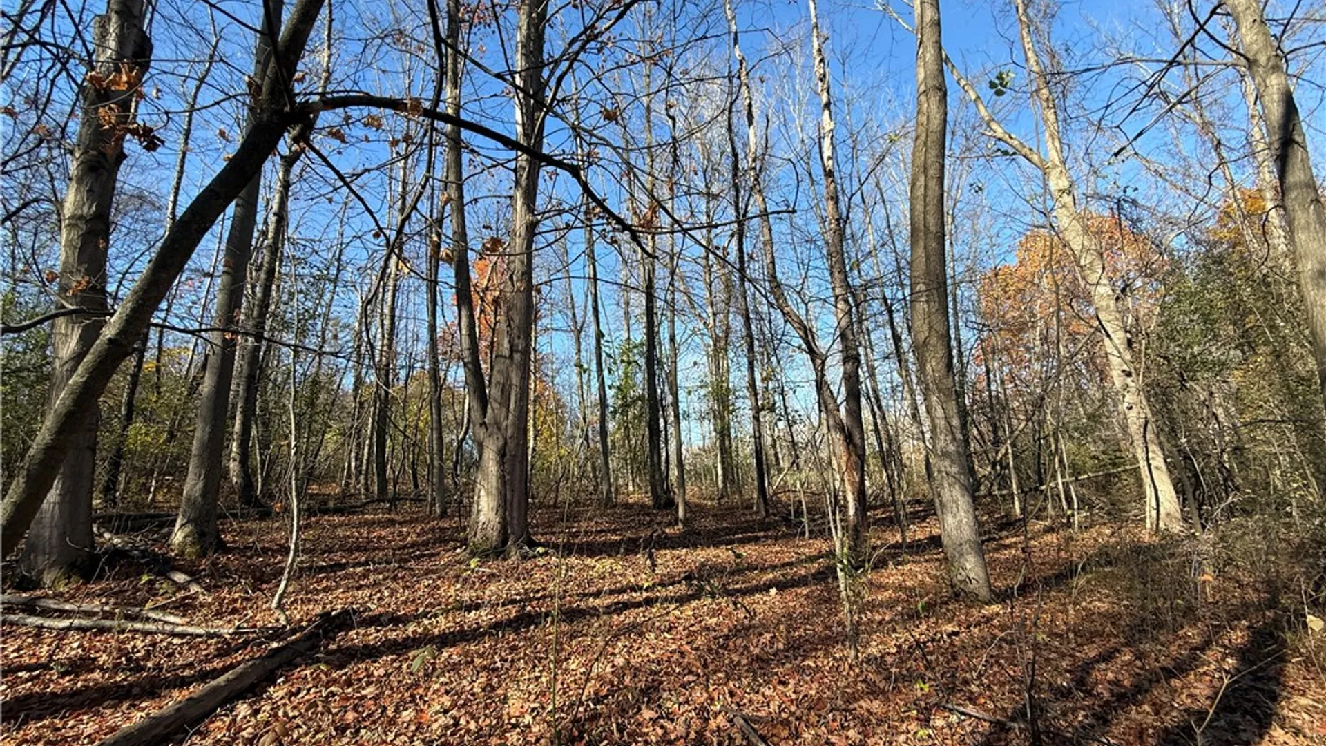 Property at Willowdale Drive, Macedon, NY 14502 16