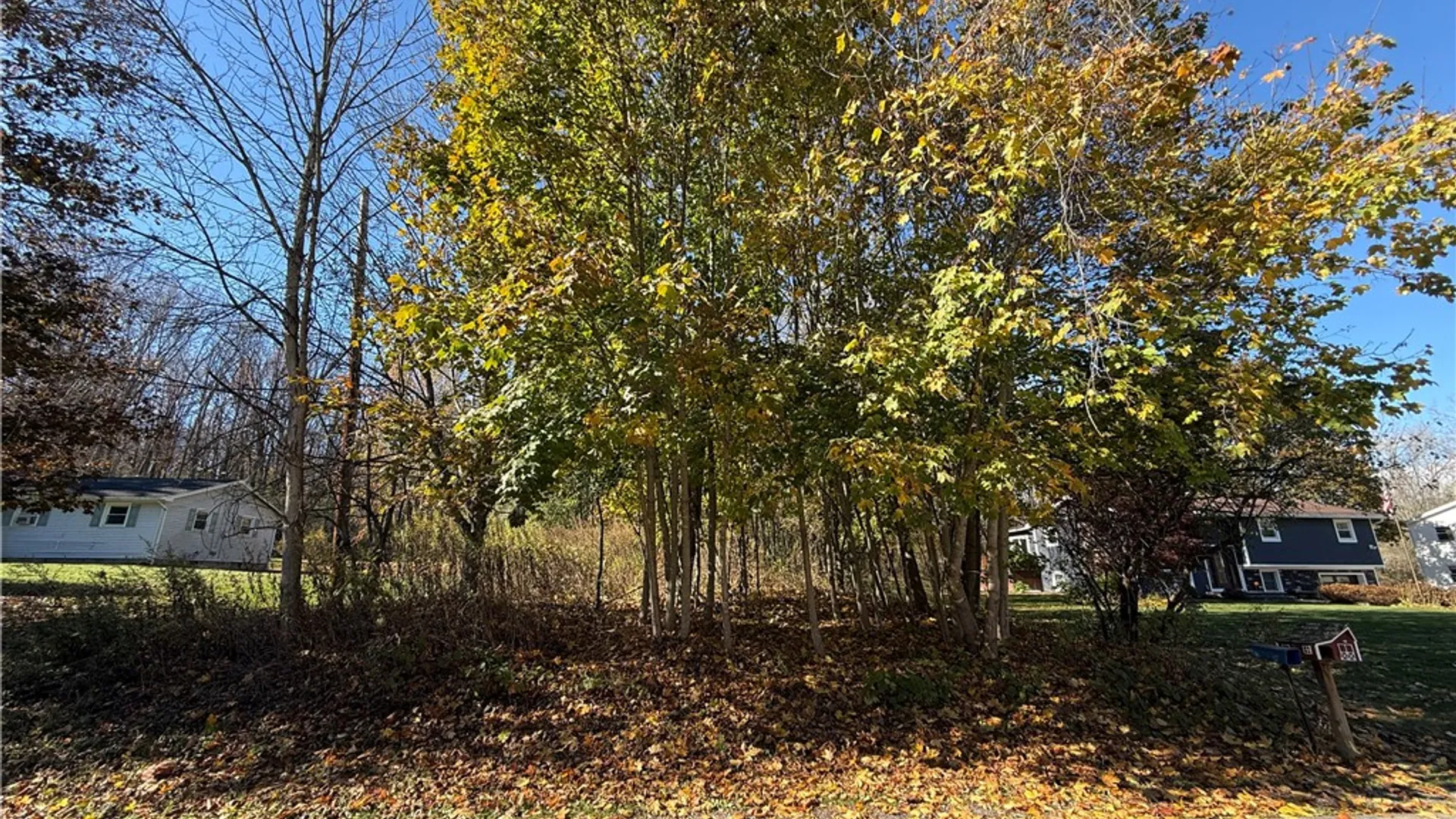 Property at Willowdale Drive, Macedon, NY 14502 18