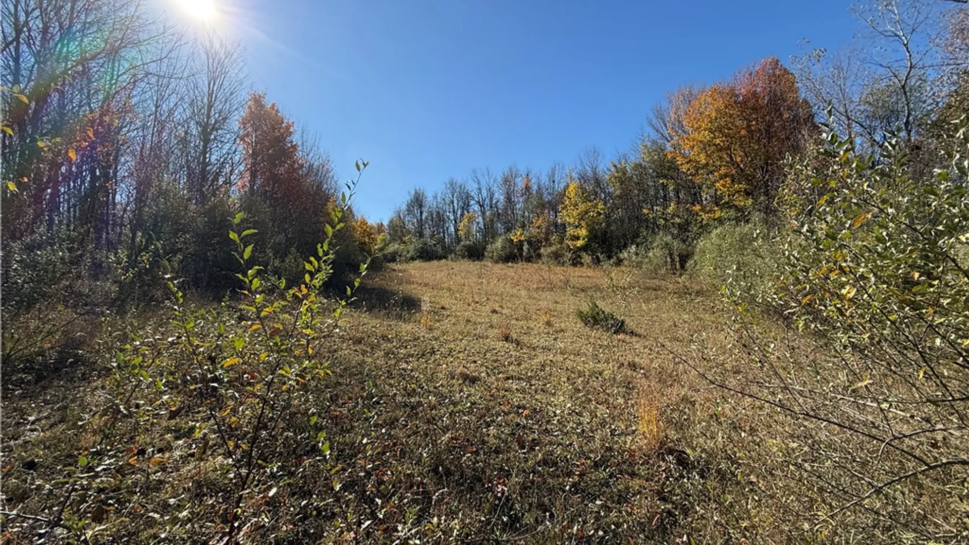 Property at Willowdale Drive, Macedon, NY 14502 2