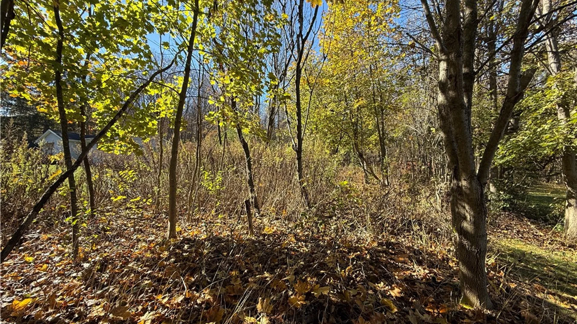 Property at Willowdale Drive, Macedon, NY 14502 20