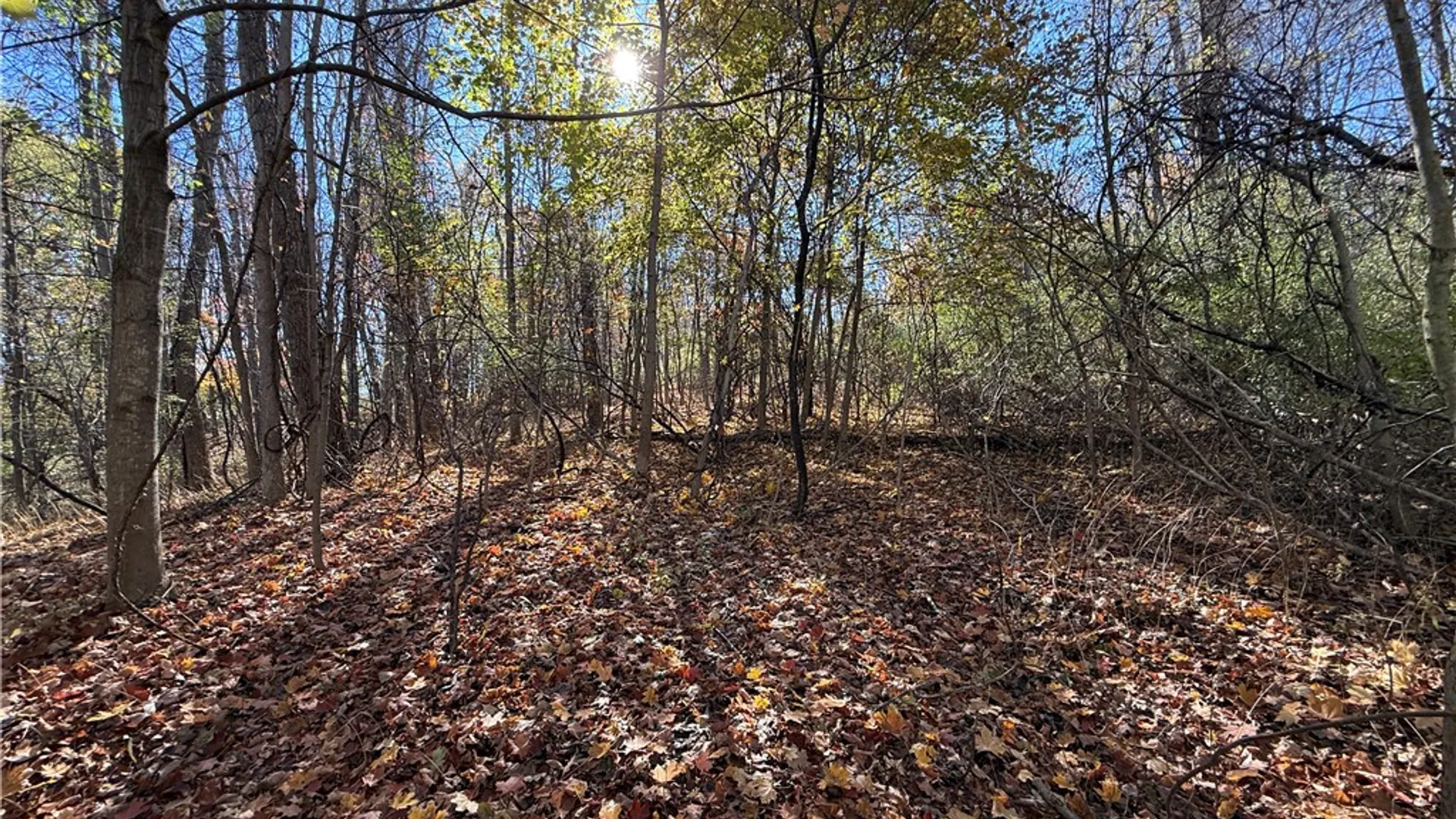 Property at Willowdale Drive, Macedon, NY 14502 22