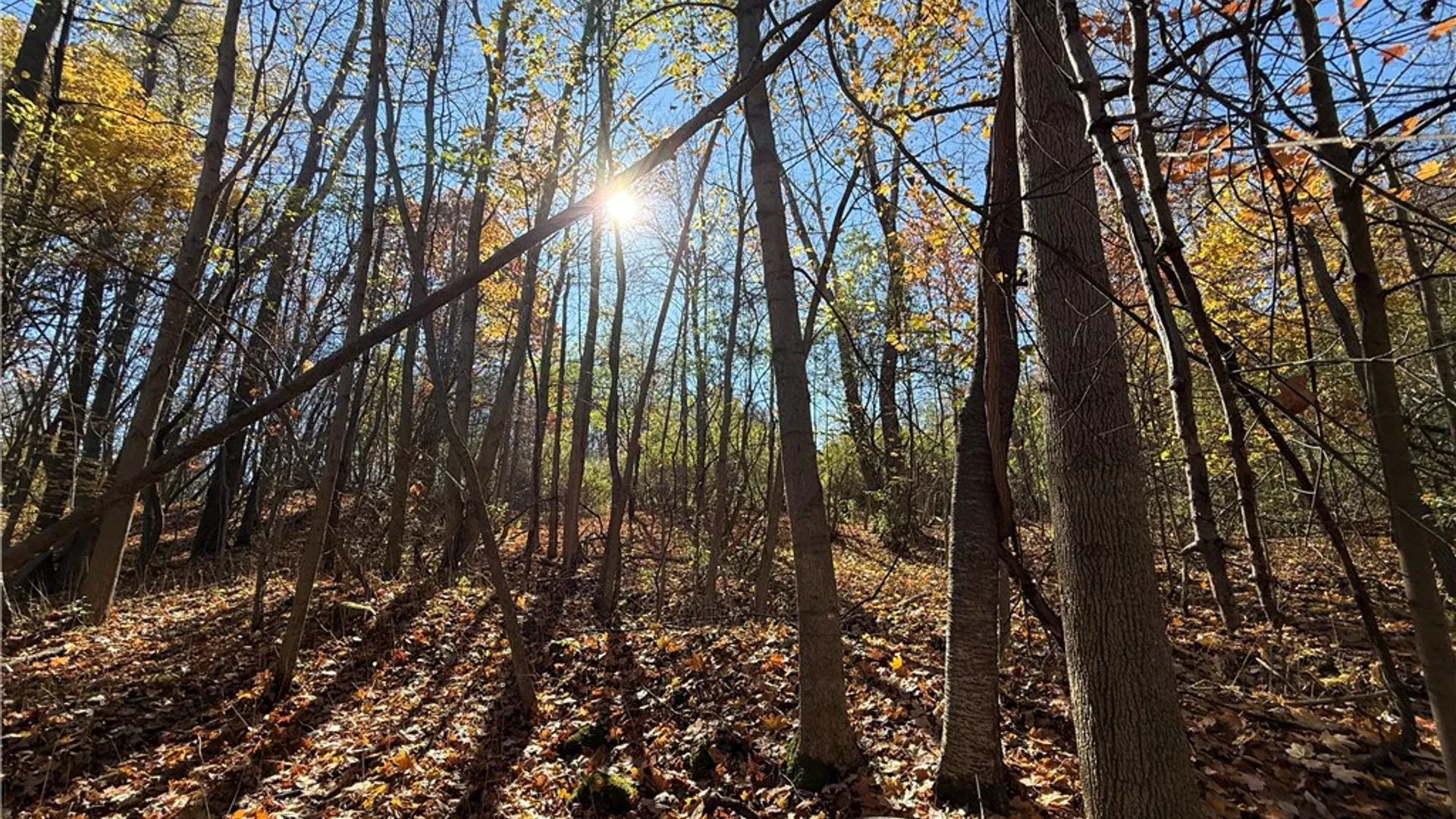 Property at Willowdale Drive, Macedon, NY 14502 23