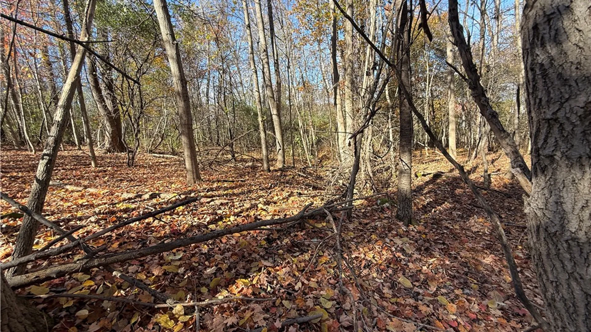 Property at Willowdale Drive, Macedon, NY 14502 25